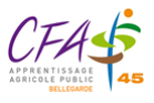 image logo_siteCFA.png (11.2kB)