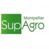 image ProjetSembio_Supagro.jpg (2.1kB)